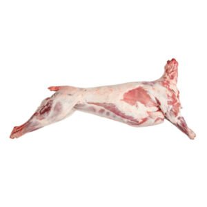 dorper sheep-carcass