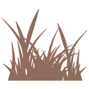grass icon